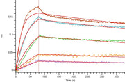 Recombinant Human VEGF 121