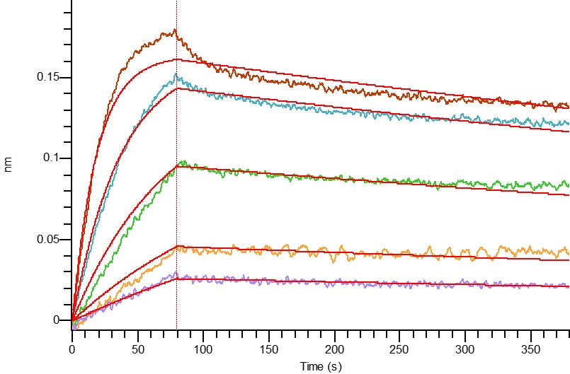 Recombinant Human VEGF 121