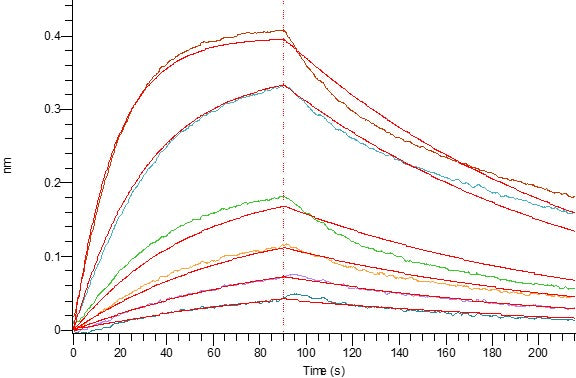 Recombinant Human FOLR1 (C-6His)