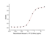 Recombinant Mouse IL-17F (C-6His)