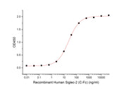 Recombinant Human Siglec-2 (C-Fc)