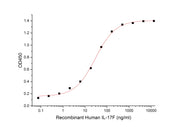 Recombinant Human IL-17F