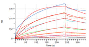 Recombinant Human LAG-3 (C-6His)