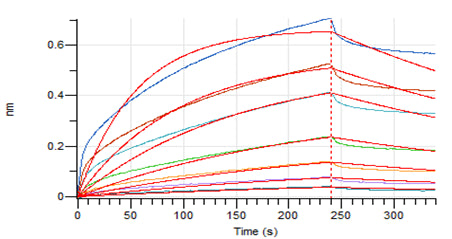 Recombinant Human LAG-3 (C-6His)