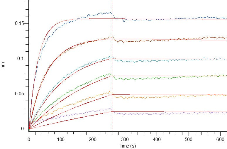 Recombinant Human OX40L (C-mFc)