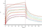Recombinant Human PVR (C-mFc)