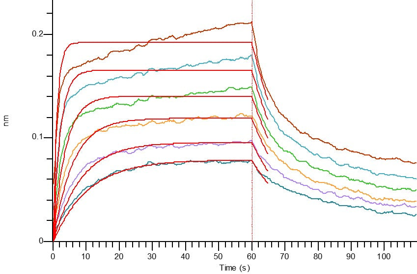 Recombinant Human PVR (C-mFc)