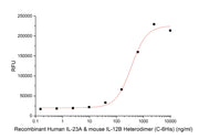 Recombinant Human IL-23A&mouse IL-12B Heterodimer (C-6His)