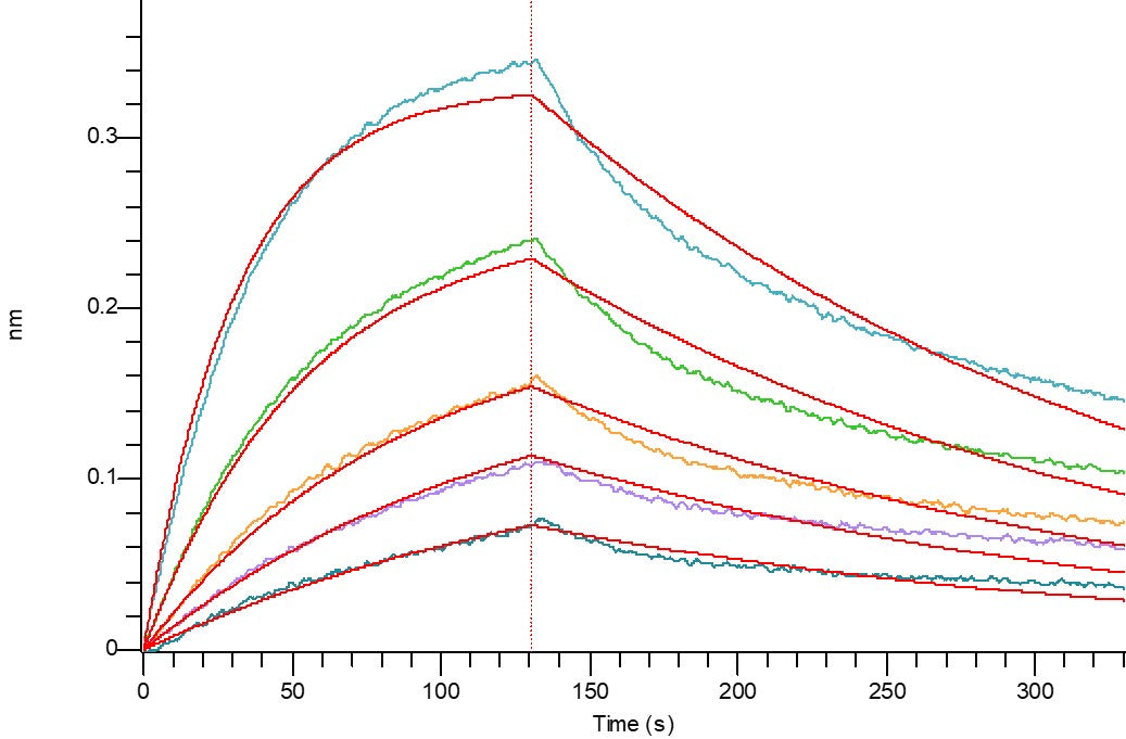 Biotinylated Human FOLR1 (C-6His-Avi)