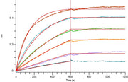 Biotinylated Human Siglec-10 (C-Fc-Avi)