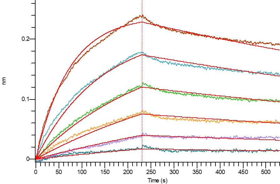 Biotinylated Human IL-17A&17F (C-Avi-6His)