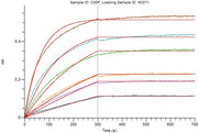 Recombinant Human CD20 (C-6His-Flag)