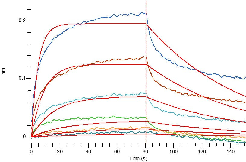Recombinant Human HER3 (C-6His)