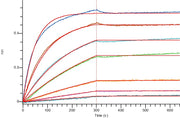 Recombinant Human CD3D&CD3E Heterodimer (C-Fc-Flag&C-Fc-6His)