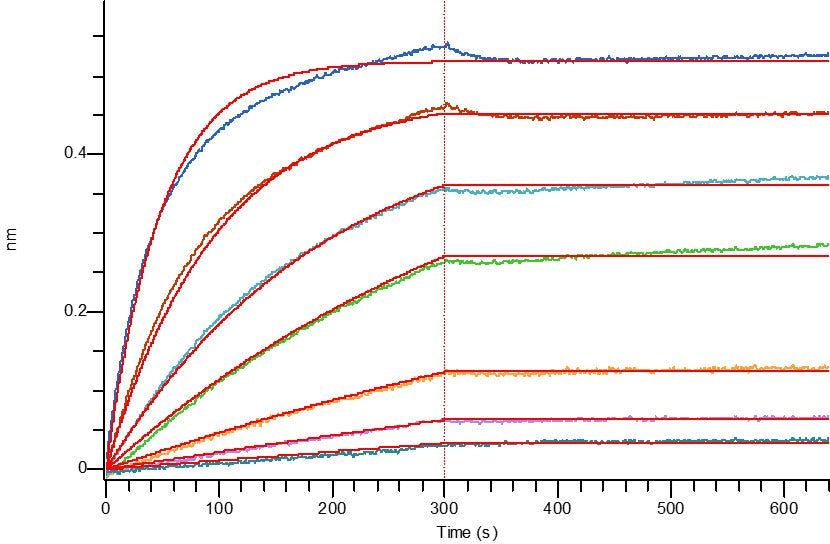 Recombinant Human CD3D&CD3E Heterodimer (C-Fc-Flag&C-Fc-6His)