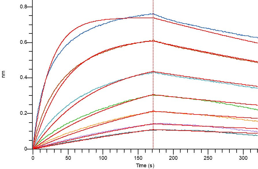 Recombinant Human HER3 (C-mFc)