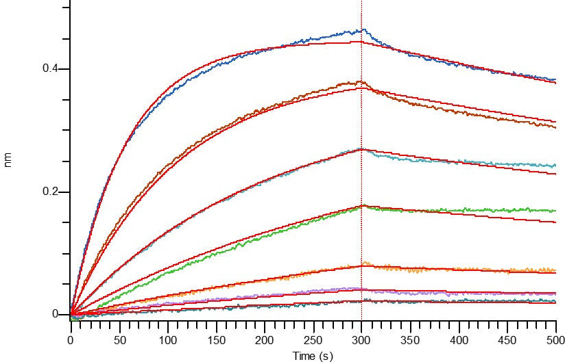 Recombinant Human CD3E&CD3G Heterodimer (C-Fc-6His&C-Fc-Flag)