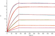 Recombinant Human Mesothelin (C-6His)
