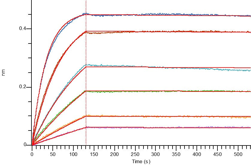Recombinant Human Mesothelin (C-6His)