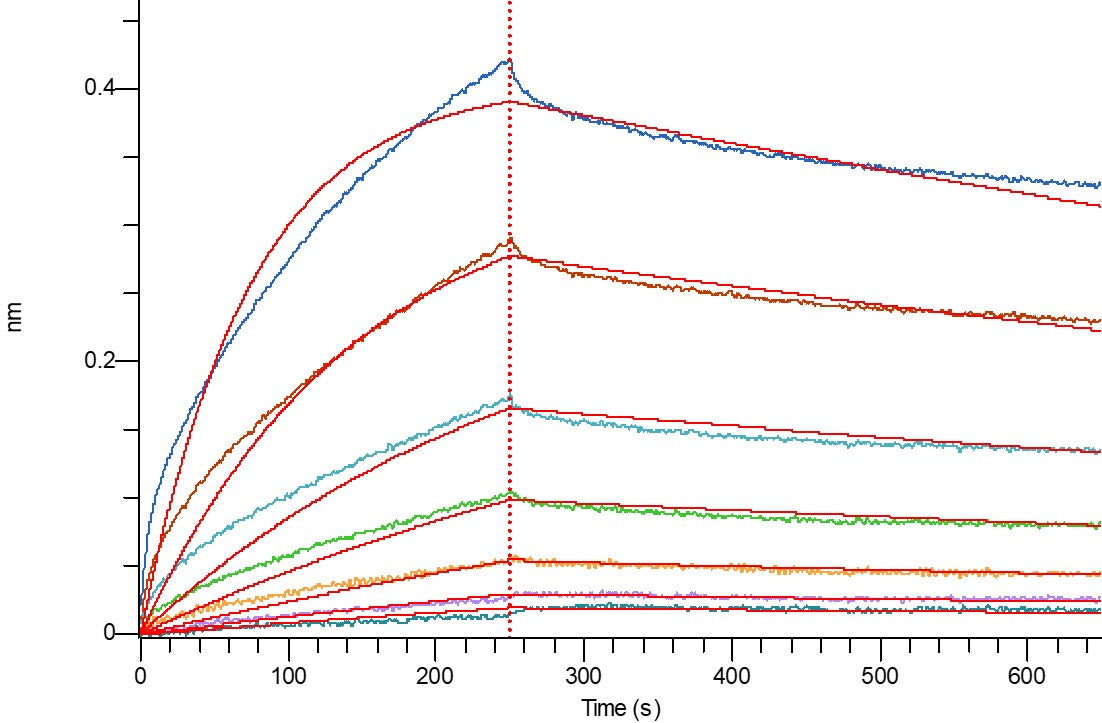 Recombinant Mouse Mesothelin (C-6His)