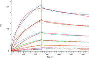 Recombinant Mouse Mesothelin (C-6His)