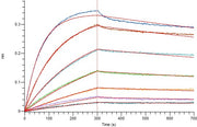 Recombinant Human TPSAB1 (C-6His)