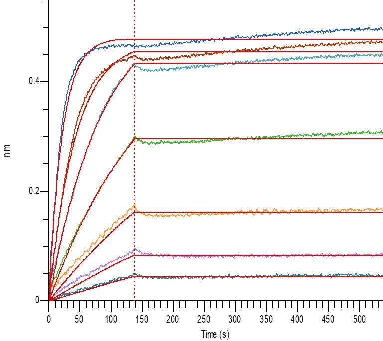 Recombinant Human TPSB2 (C-6His)