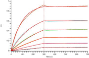 Recombinant Human IL-1RL2 (C-6His)