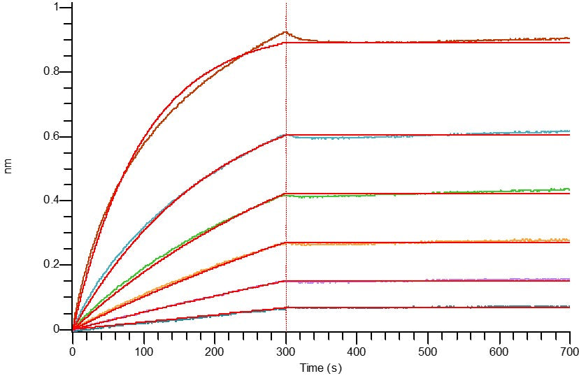 Recombinant Human IL-1RL2 (C-6His)