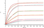 Recombinant Human IL-17A&17F (C-6His)