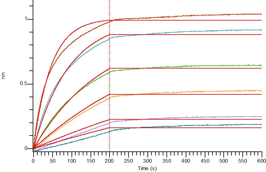 Recombinant Human IL-17A&17F (C-6His)