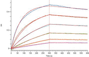 Recombinant Mouse IL-2RA (C-Fc)