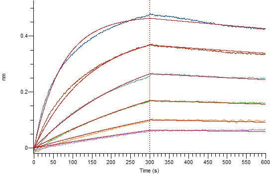 Recombinant Mouse IL-2RA (C-Fc)