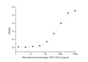 Recombinant Rhesus Macaque CD155 (C-6His)