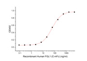 Recombinant Human FGL1 (C-mFc)