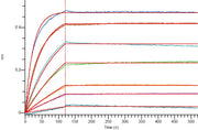 Biotinylated Human Mesothelin (C-6His-Avi)