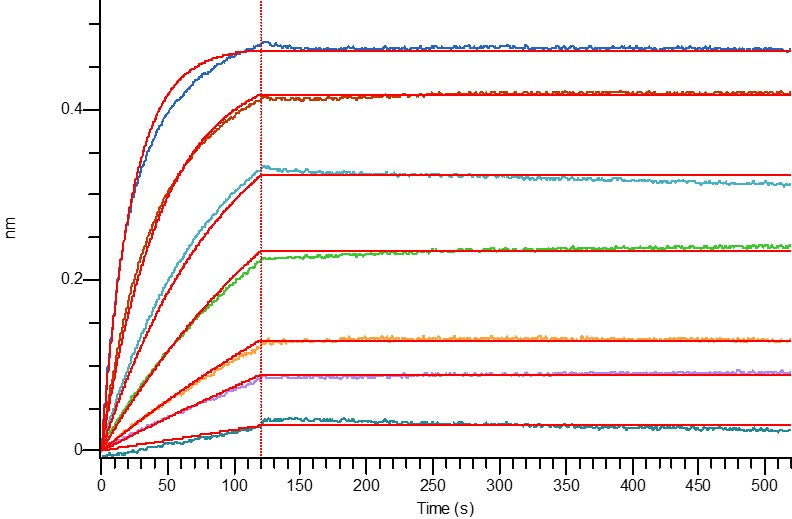 Biotinylated Human Mesothelin (C-6His-Avi)