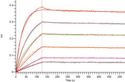 Biotinylated Human CD3E (C-Fc-Avi)