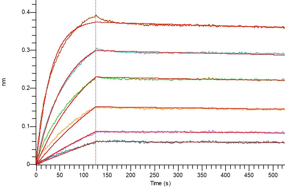 Biotinylated Human CD3E (C-Fc-Avi)