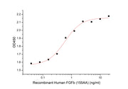 Recombinant Human FGFb (155AA)