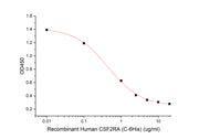 Recombinant Human CSF2RA (C-6His)