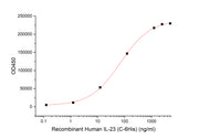 Recombinant Human IL-23 (C-6His)