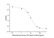 Recombinant Human TNF alpha (C-6His)