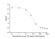 Recombinant Human TNF alpha (N-6His)