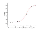 Recombinant Human Beta-NGF (Mammalian)