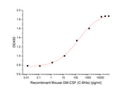 Recombinant Mouse GM-CSF (C-6His)