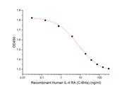 Recombinant Human IL-4 RA (C-6His)