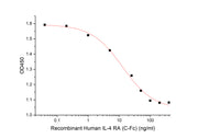 Recombinant Human IL-4 RA (C-Fc)