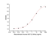 Recombinant Human SCF (C-6His)