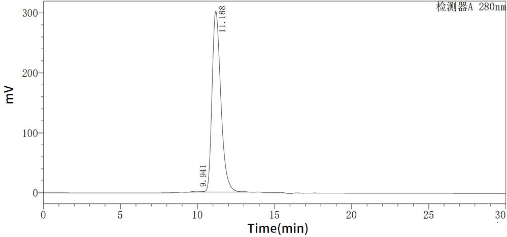 Recombinant Human C1q R1 (C-6His)